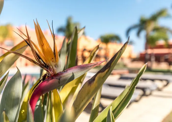 Luxury Apartment, Marina, & Pool ポルティマン