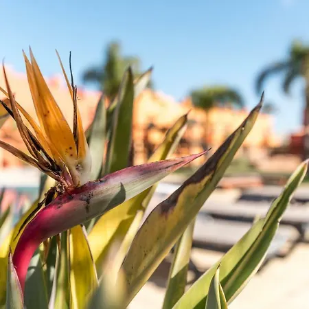 Luxury Apartment, Marina, & Pool Portimao