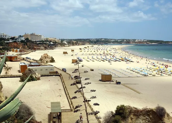 Luxury Apartment, Marina, & Pool *